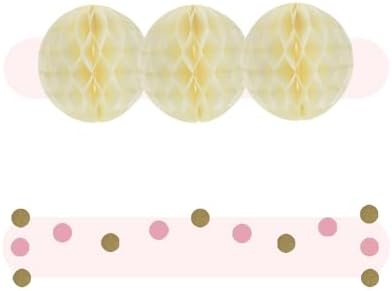 EpiqueOne 22 Piece Tissue Paper Pom Poms Party Set