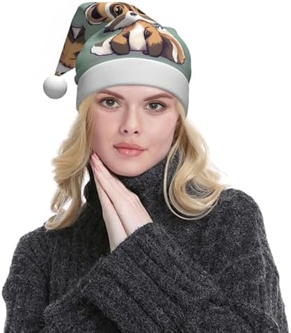 QINZHENG Cartoon Raccoon Santa Hat