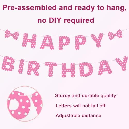 Pink Mouse Birthday Banner Set for Kids