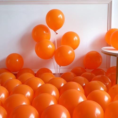 Pool Beach Party Balloon Garland Arch Kit 146pcs