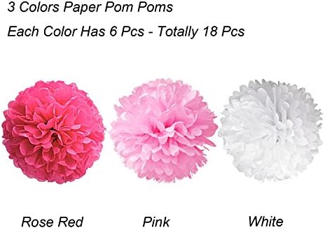 Tissue Paper Pom Poms 18 Pcs Rose Red Pink and White