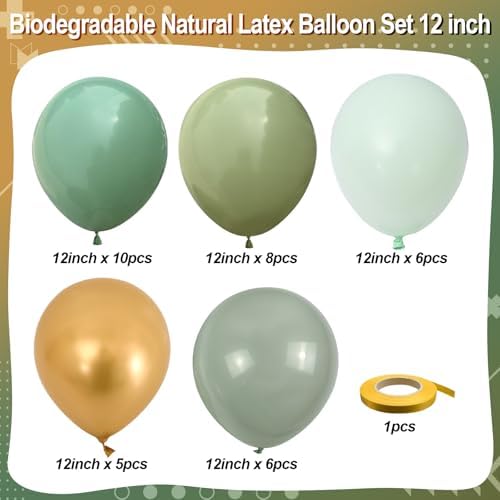 Jobkoo Sage Green Gold Balloons Set for Parties