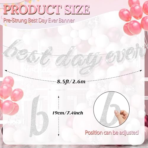 Best Day Ever Silver Glitter Hanging Banner