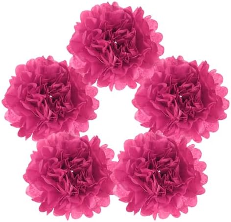 MECCANIXITY 5pcs Paper Pom Poms 6 Inch Rose Red Tissue Flowers