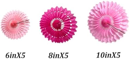 15pcs Pink Tissue Paper Fans Decor Set