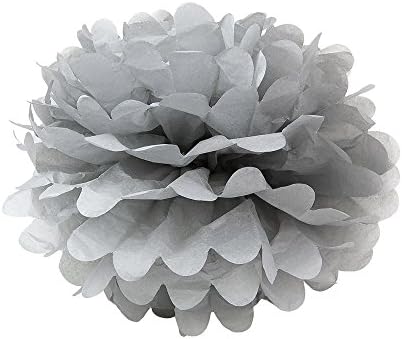 WYZworks 10 Inch Tissue Pom Poms Flower Decor