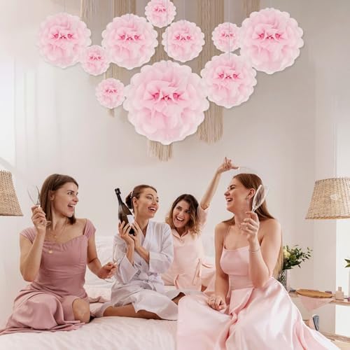 Light Pink Tissue Paper Pom Poms 20 Piece Set