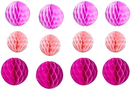 Yangeey 12pcs Honeycomb Ball Decorations Pink Kit