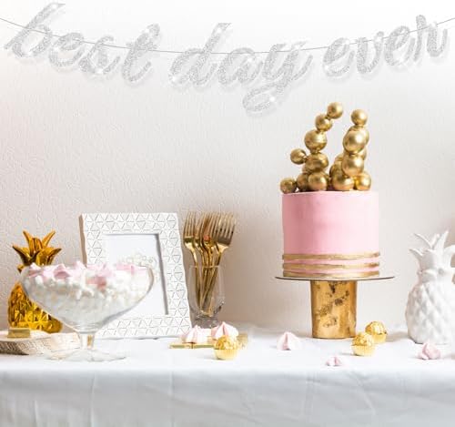 Best Day Ever Silver Glitter Hanging Banner