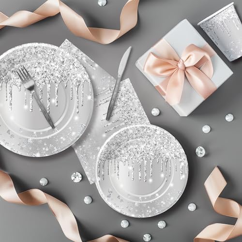 Silver Glitter Party Tableware Set for 24 Guests