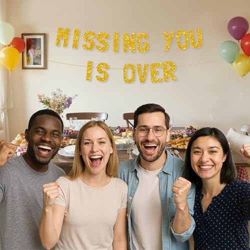 Meowoo Farewell Banner Missing You is Over Gold Decor