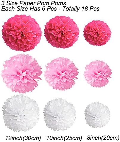 Tissue Paper Pom Poms 18 Pcs Rose Red Pink and White