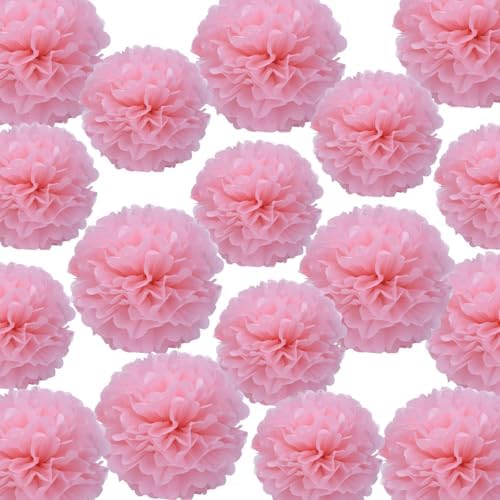 YLYs Love Tissue Pom Poms 20PCS Pink Decorative Hanging Flowers
