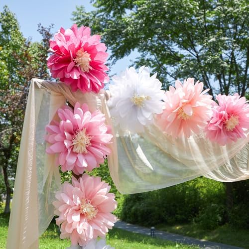 Easy Joy Daisy Tissue Paper Pom Poms Set