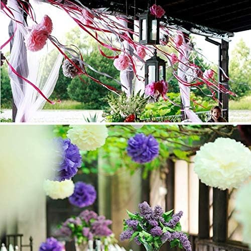 iShyan 15pcs Mixed Tissue Paper Pom Poms Decor