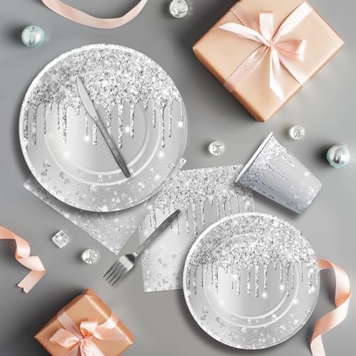 Silver Glitter Party Tableware Set for 24 Guests