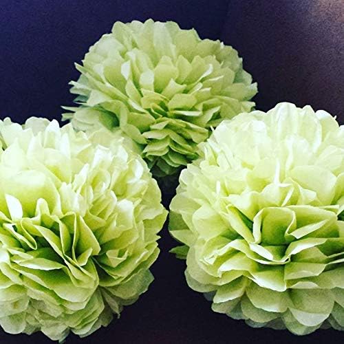 ShineBear 15pcs Tissue Paper Pom Poms Wedding Decorations