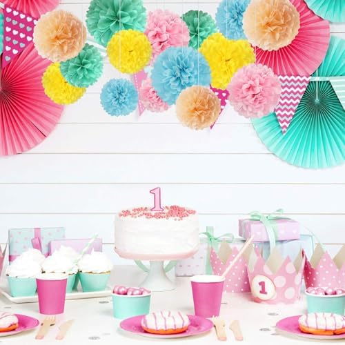 Zankubom 20 PCS Tissue Paper Pom Poms Decorations