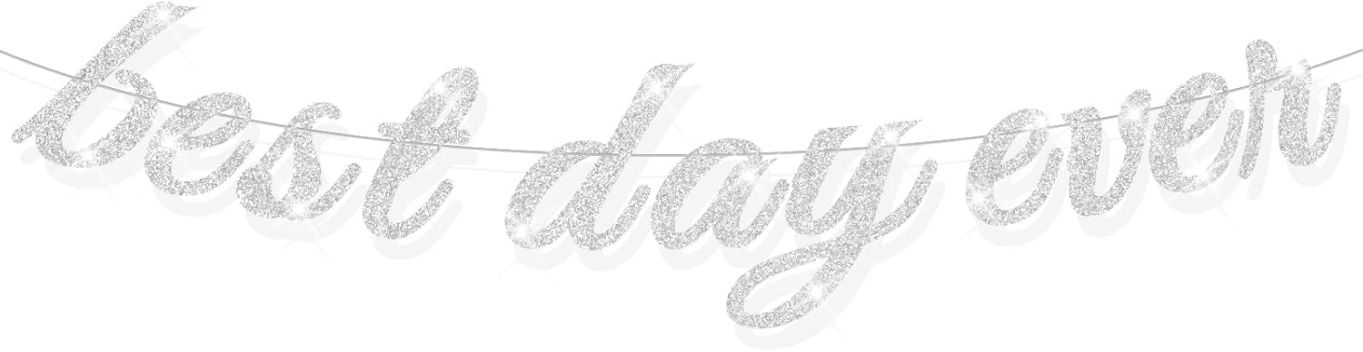 Best Day Ever Silver Glitter Hanging Banner
