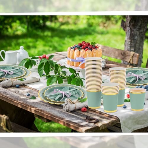 350 Pcs Sage Green Gold Foil Party Set for 50 Guests