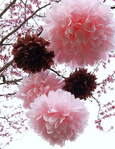 10pcs Pink Tissue Paper Pom Poms for Decorations