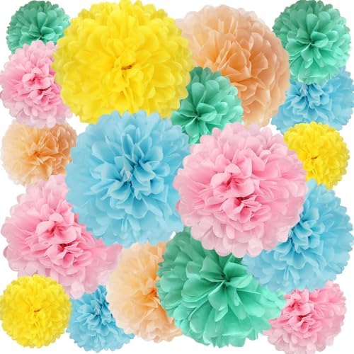 Zankubom 20 PCS Tissue Paper Pom Poms Decorations