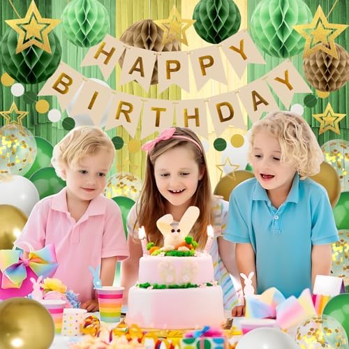 Retro Green Birthday Decorations Party Set