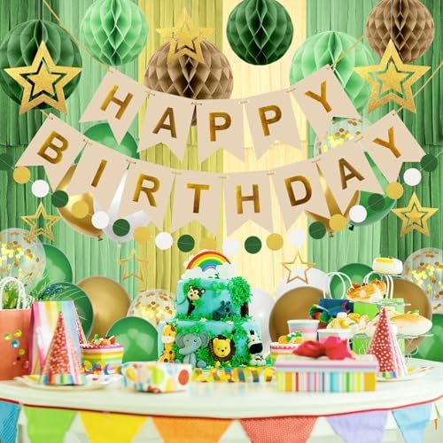 Retro Green Birthday Decorations Party Set