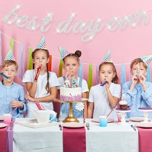 Best Day Ever Silver Glitter Hanging Banner