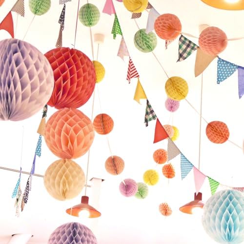 MECCANIXITY 6 Inch Light Pink Paper Pom-Poms Balls