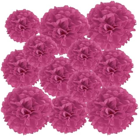 PATIKIL 4 6 8 Inch Fuchsia Tissue Pom Poms Flowers 12 Pack