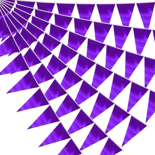 20M Purple Triangle Pennant Bunting Garland for Events