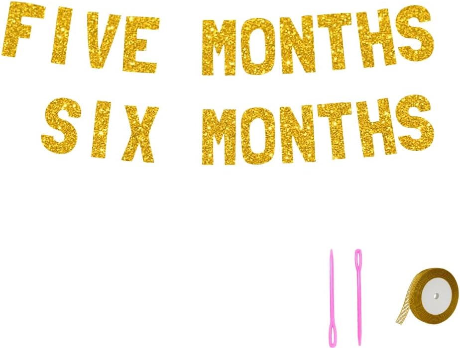 Meowoo Sweet Five Months Decor Banner