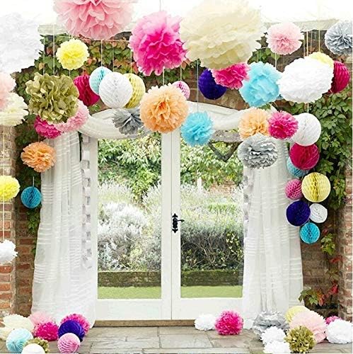 ShineBear 15pcs Tissue Paper Pom Poms Wedding Decorations