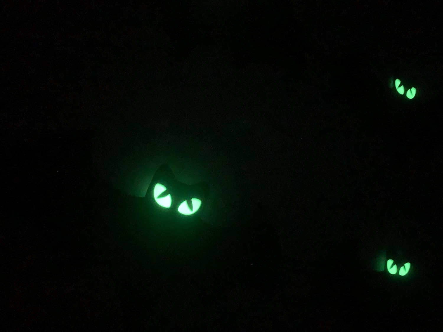 Halloween Glow Eyes Bats Banner Set