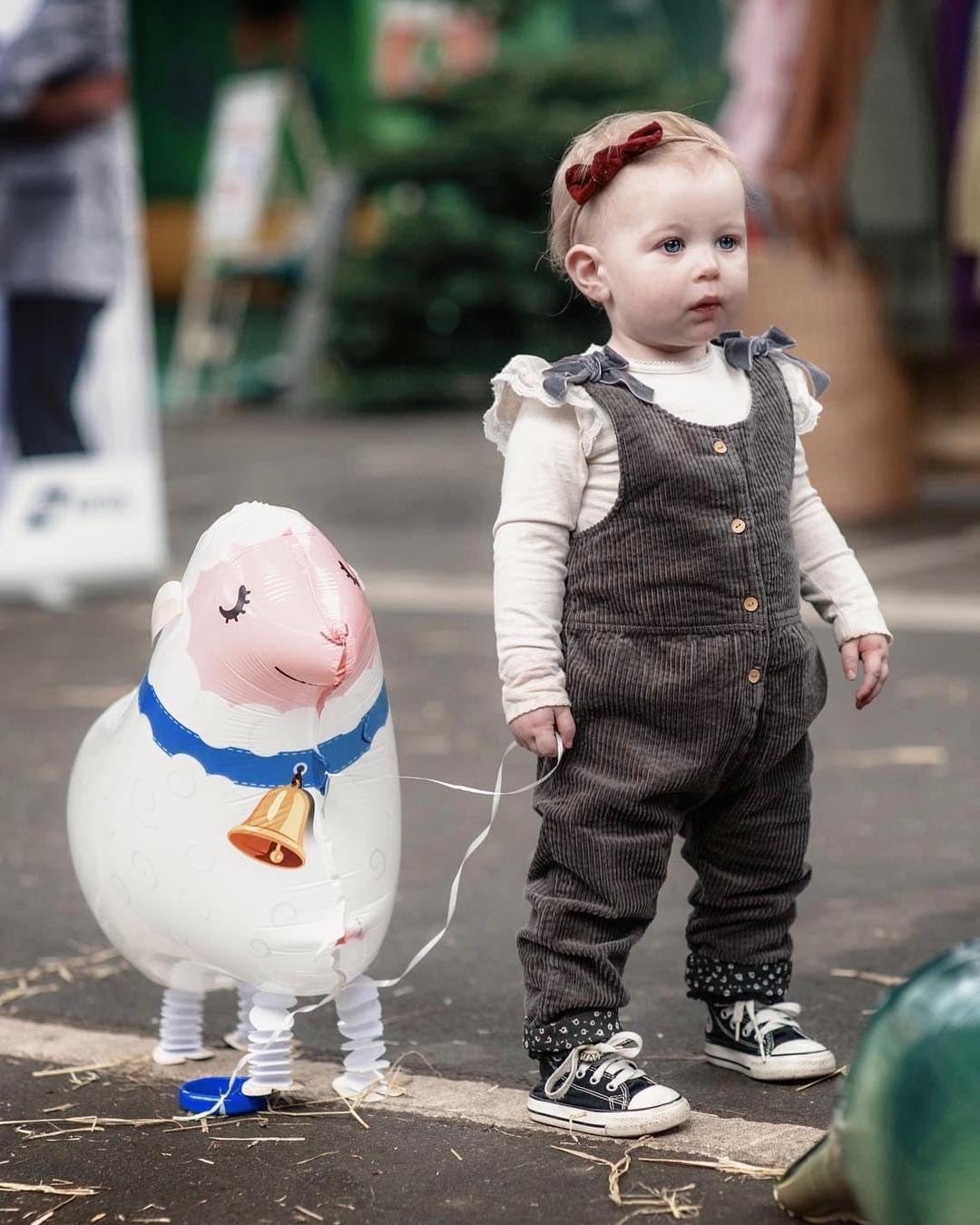 Walking Farm Animals Balloons Pack of 6 For Kids Party