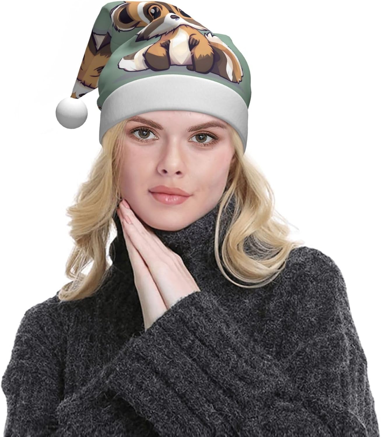 QINZHENG Cartoon Raccoon Santa Hat