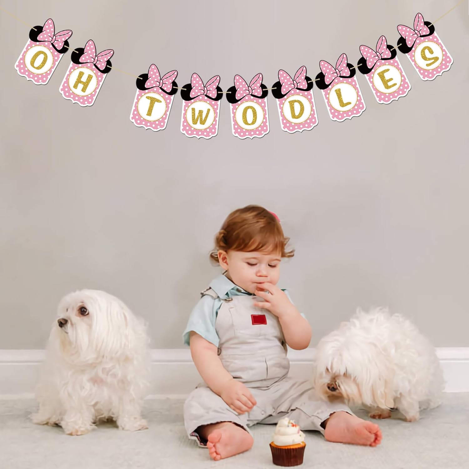 INNORU Oh Twodles Banner 2nd Birthday Decor for Girls